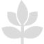 綠色低碳產業扶持計劃